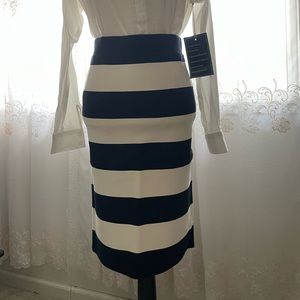 NWT Loft XS Petite Blue and White Stripe Midi Skirt